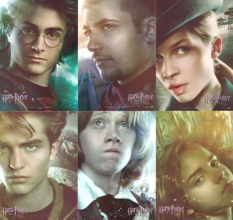 Harry, Krum, Fleur, Cedric, Ron a Hermy